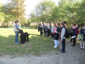 Юні зоологи (3)