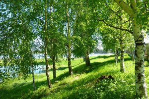 ФОТО ЗВЕРНЕННЯ ДО ЖИТЕЛІВ