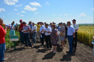 День поля на Старокостянтинівщині