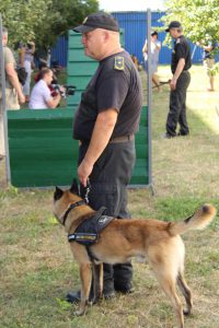 IMG_6023