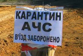 Виявлено новий спалах африканської чуми