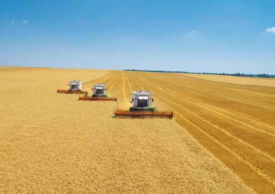 Аграрії Хмельниччини завершили збирання ранніх зернових, зернобобових культур та ріпаку