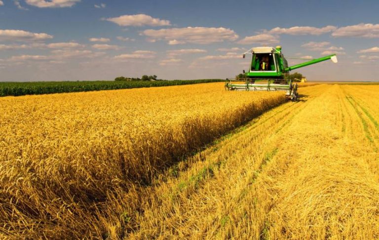 Хмельниччина лідирує по урожайності сільськогосподарських культур серед інших областей України