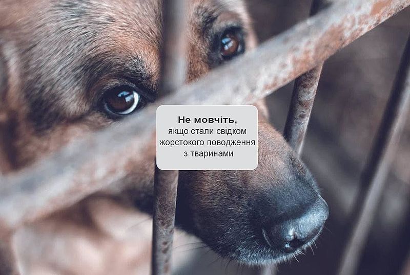 Пам’ятка для населення «СТАЛИ СВІДКОМ ЖОРСТОКОГО ПОВОДЖЕННЯ З ТВАРИНАМИ? НЕ МОВЧІТЬ!»