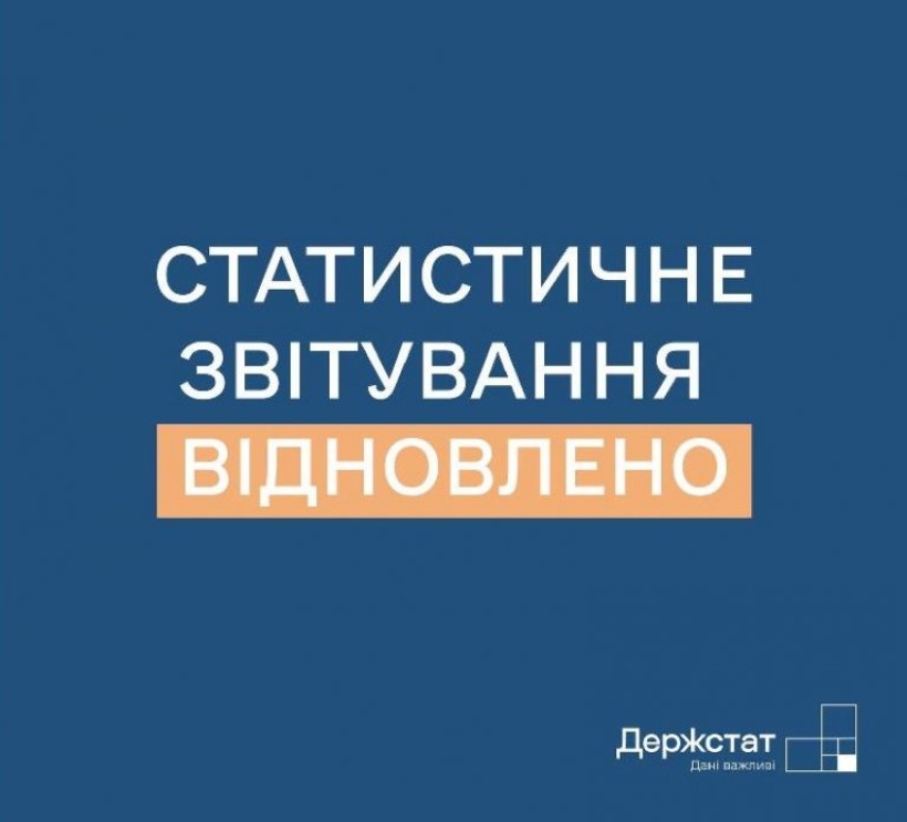 В Україні відновлено обов’язкове подання державної статистичної та фінансової звітності