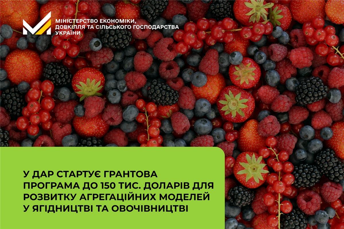 Грантова програма до 150 тис. доларів для розвитку агрегаційних моделей у ягідництві та овочівництві