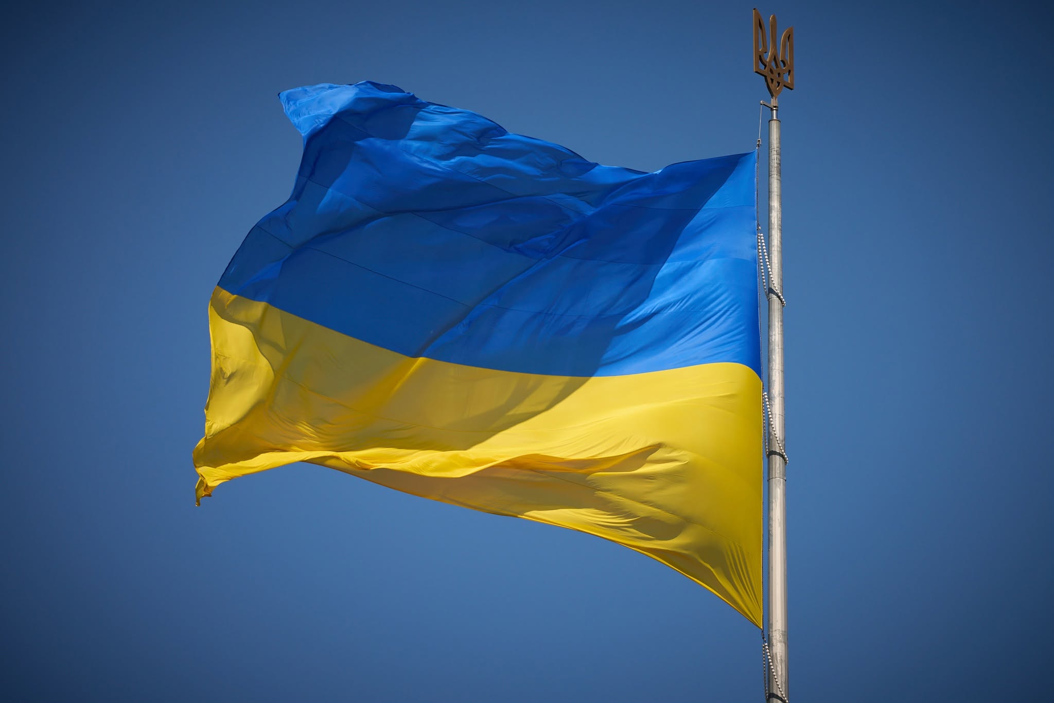 Сьогодні День Конституції України!